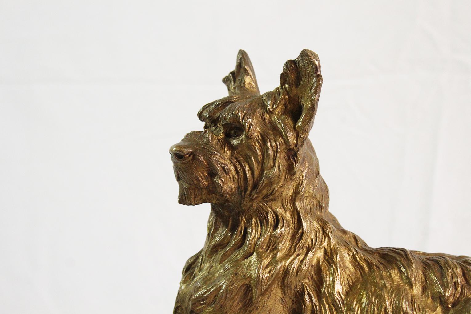Early 20th Century Gold Patina Bronze Dog Signed by Thomas Cartier 3