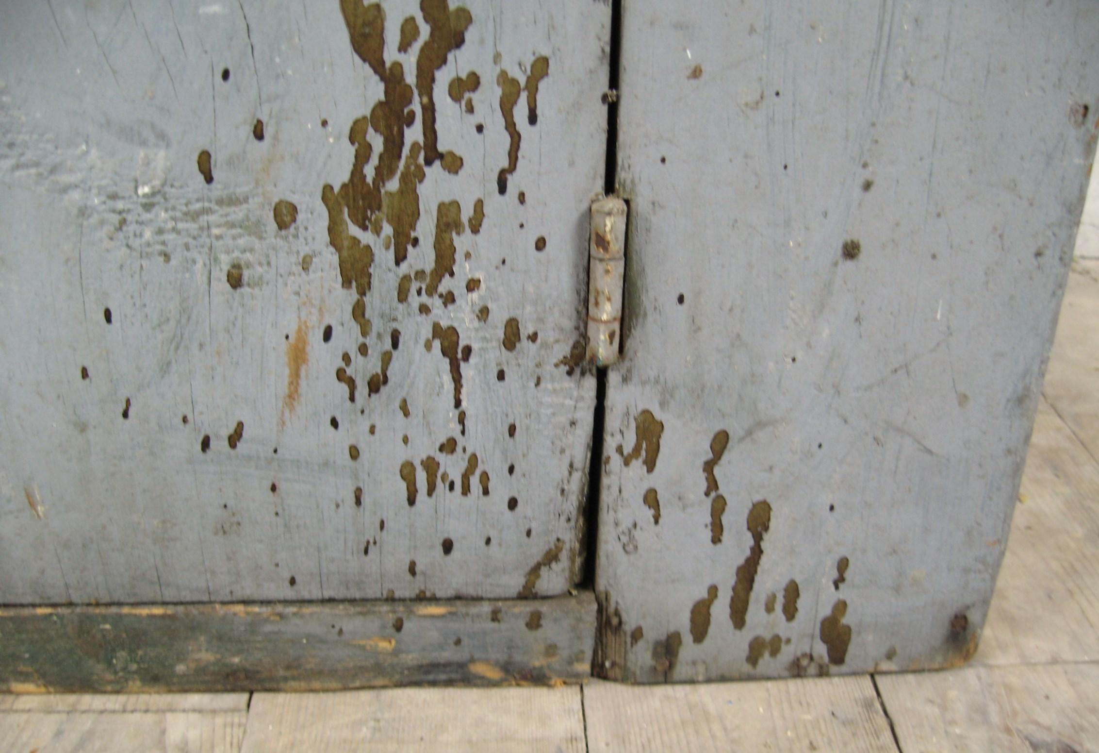 Bois de feuillus Début du 20ème siècle Primitive grise Armoire peinte à porte aveugle en vente