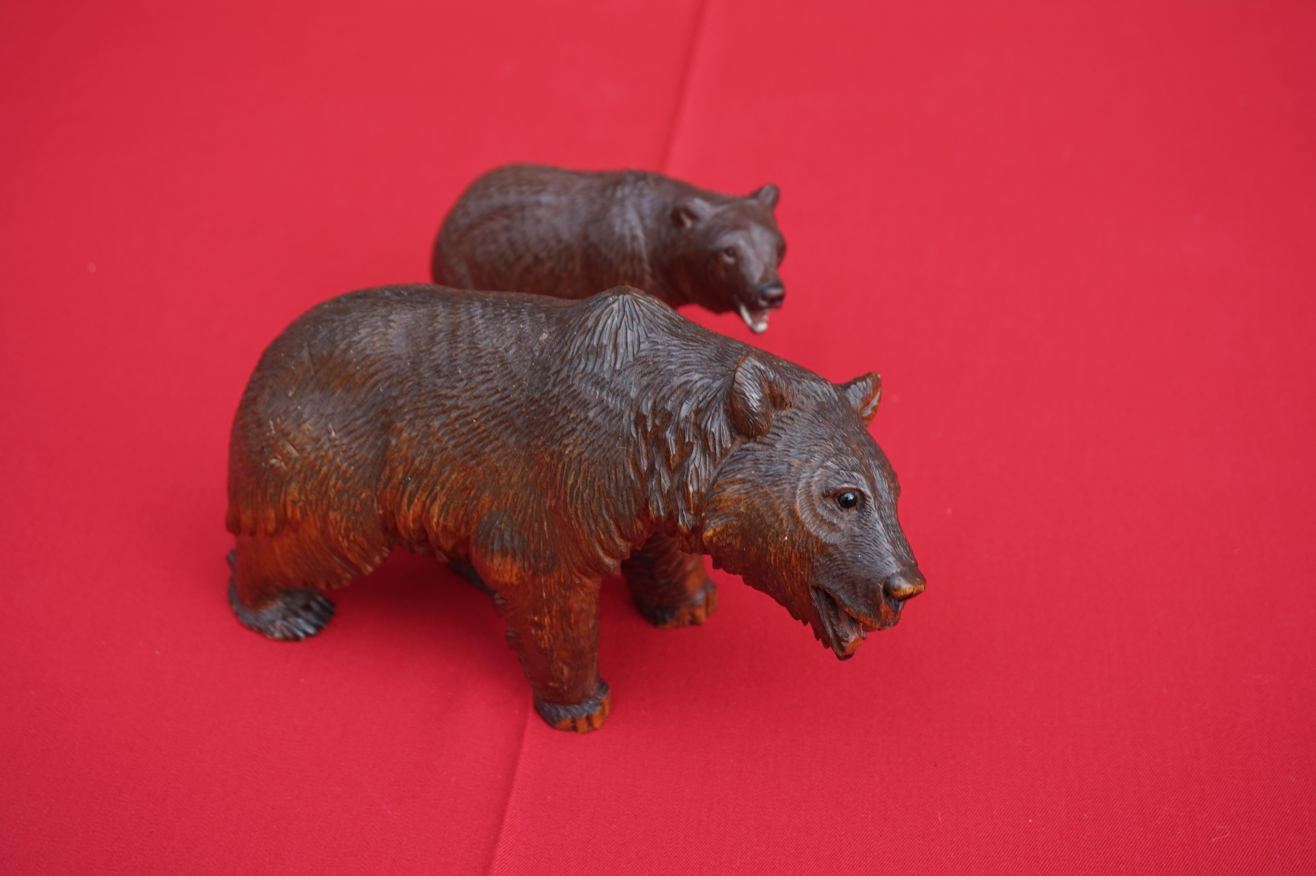 Early 20th Century Hand Carved Black Forest Papa and Junior Bear Sculptures 2