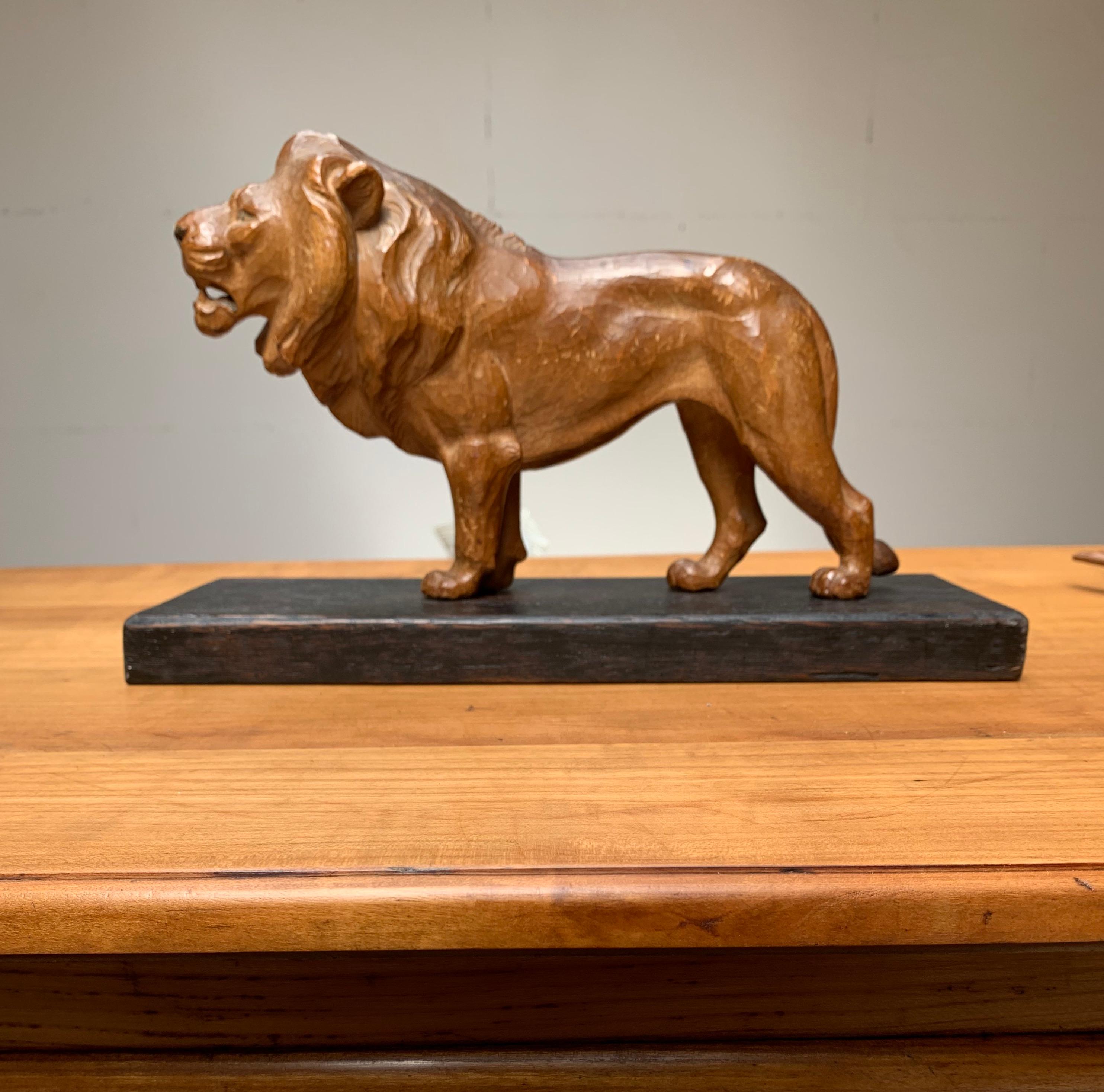 Sculpture rare et décorative du plus grand des grands félins.

Heureusement, dans la plupart des pays, il est interdit de garder un lion chez soi. Ce lion sculpté de qualité est donc la meilleure chance de pouvoir en admirer un de près. Cette