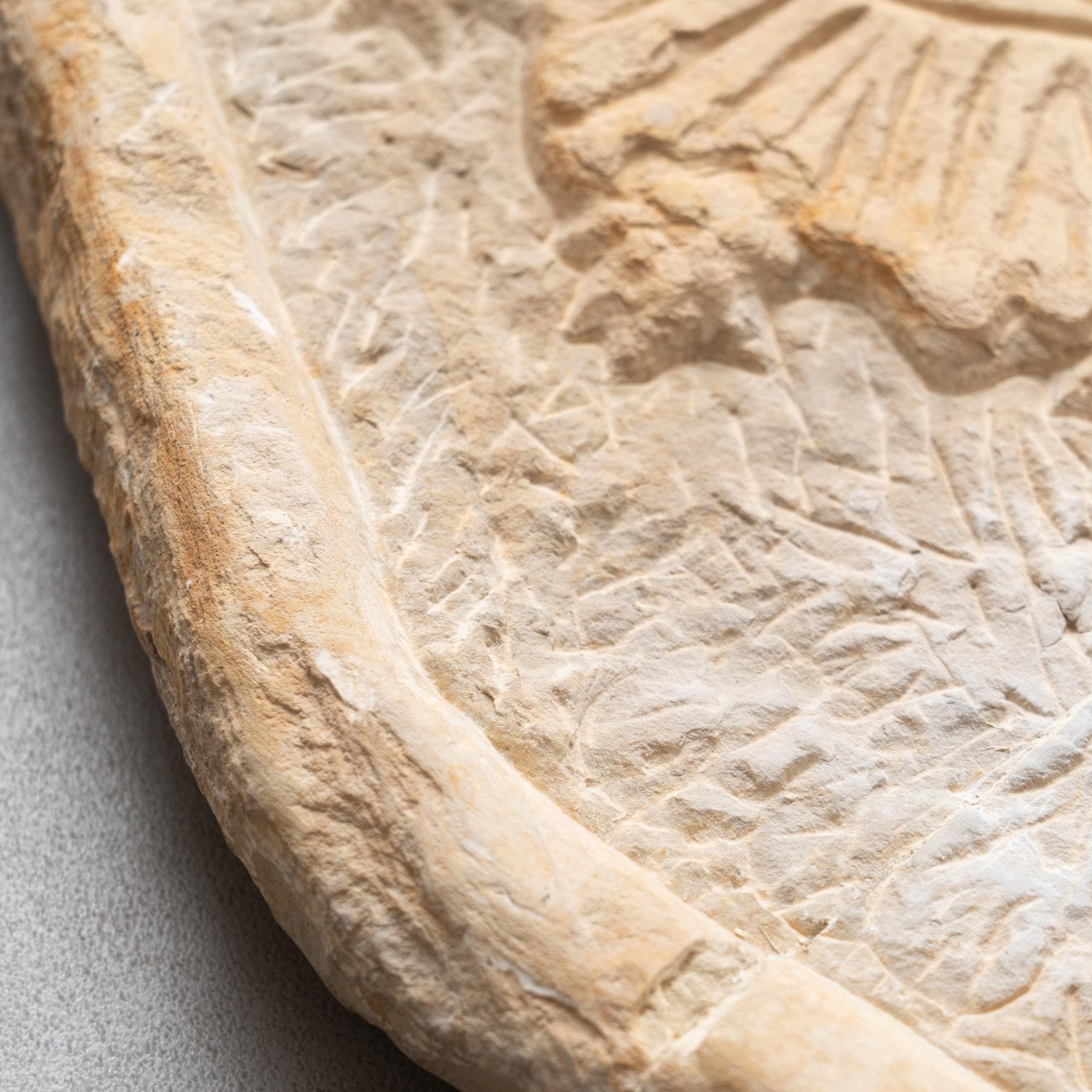 Early 20th Century Hand-Engraved Wall Stone Sculpture 5