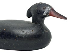 Early 20th Century Hand Painted Duck Decoy Antique, USA owned by Bob Tillbutt