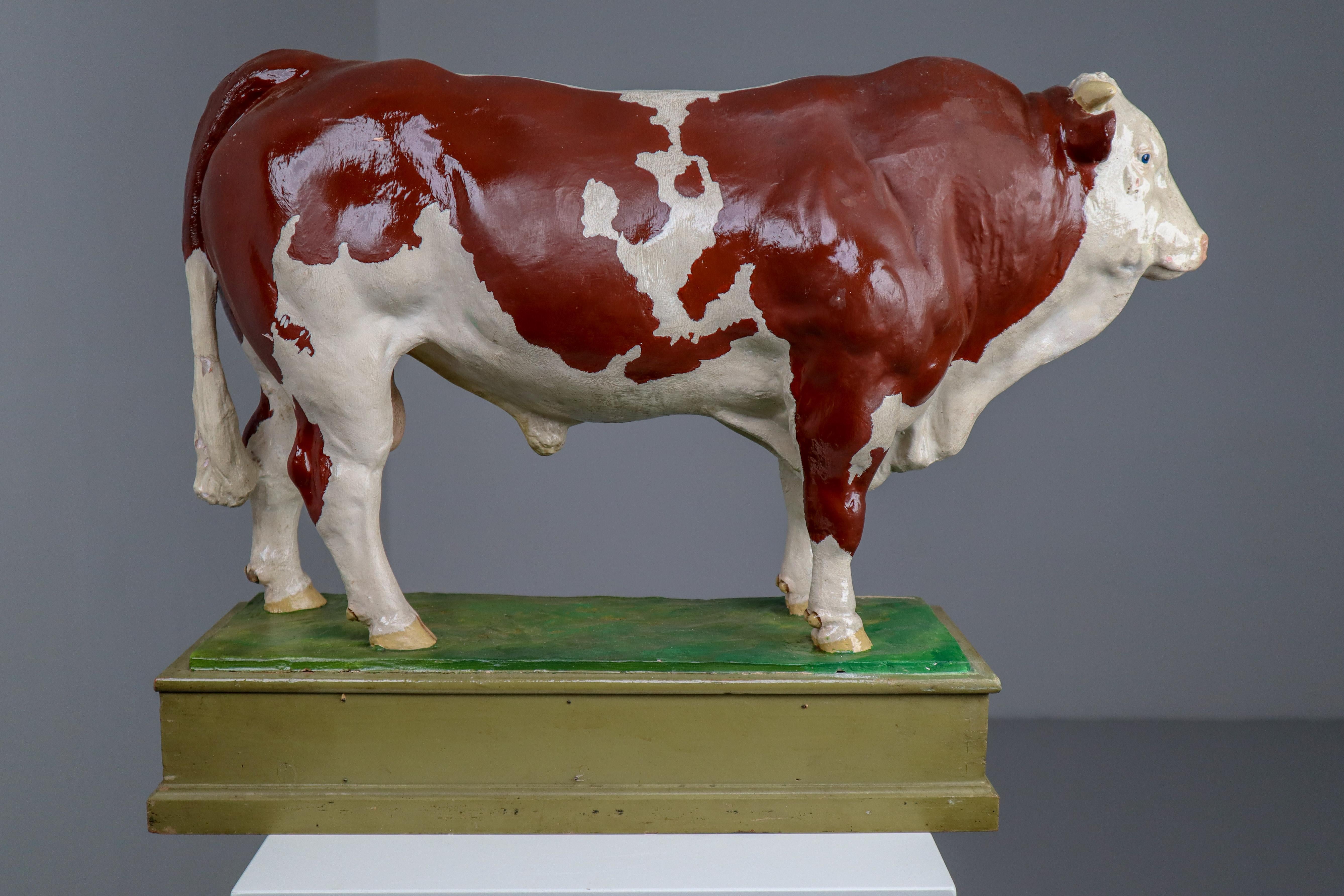 Early 20th century hand painted plaster model of a bull made in Czech Republic. This is an original plaster statue of a European Bull, mounted on a base, elegant and strong, wonderful object for every bull lover. Small damages and repairs. But