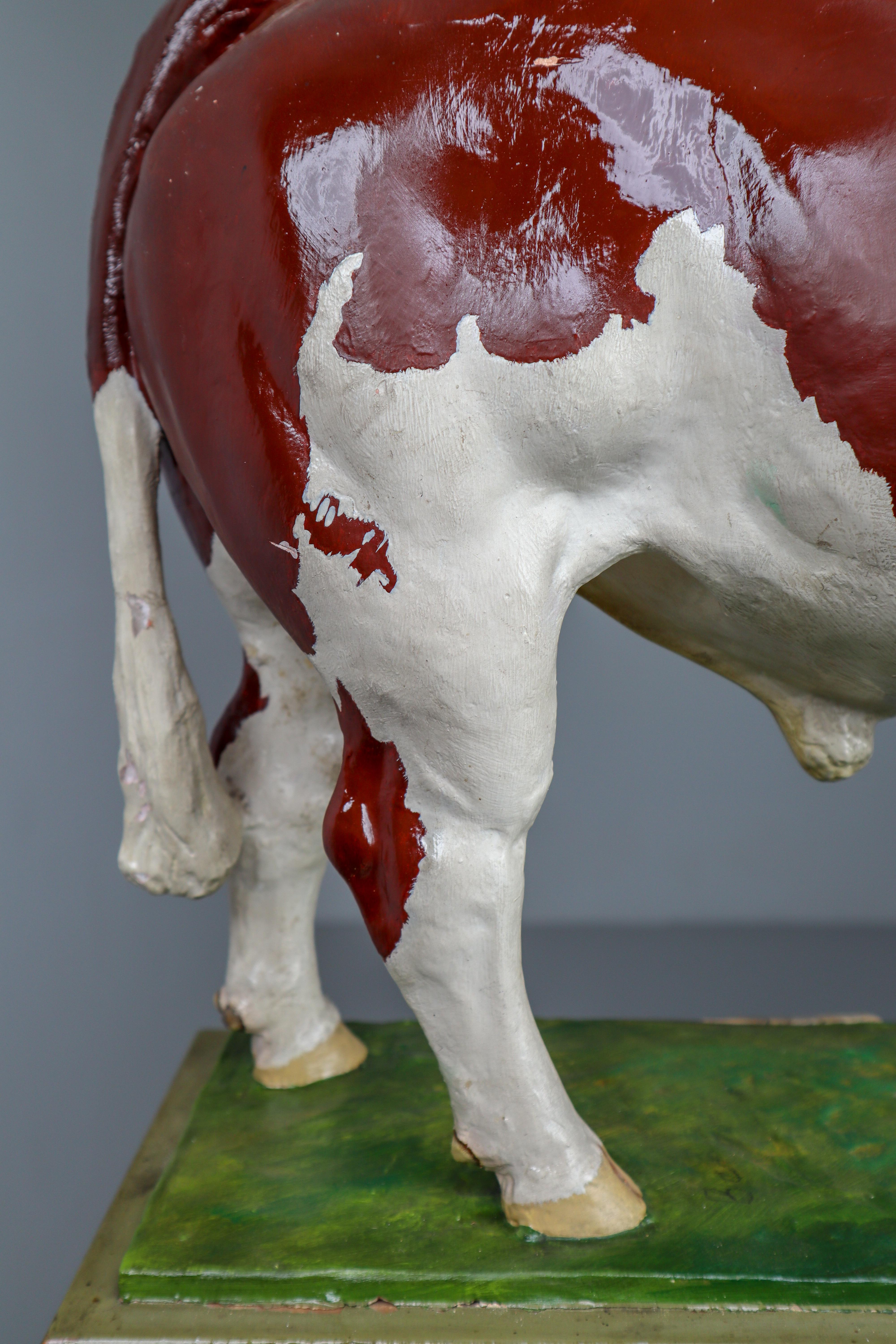 Early 20th Century Hand Painted Plaster Model of a Bull Made in Czech Republic 1