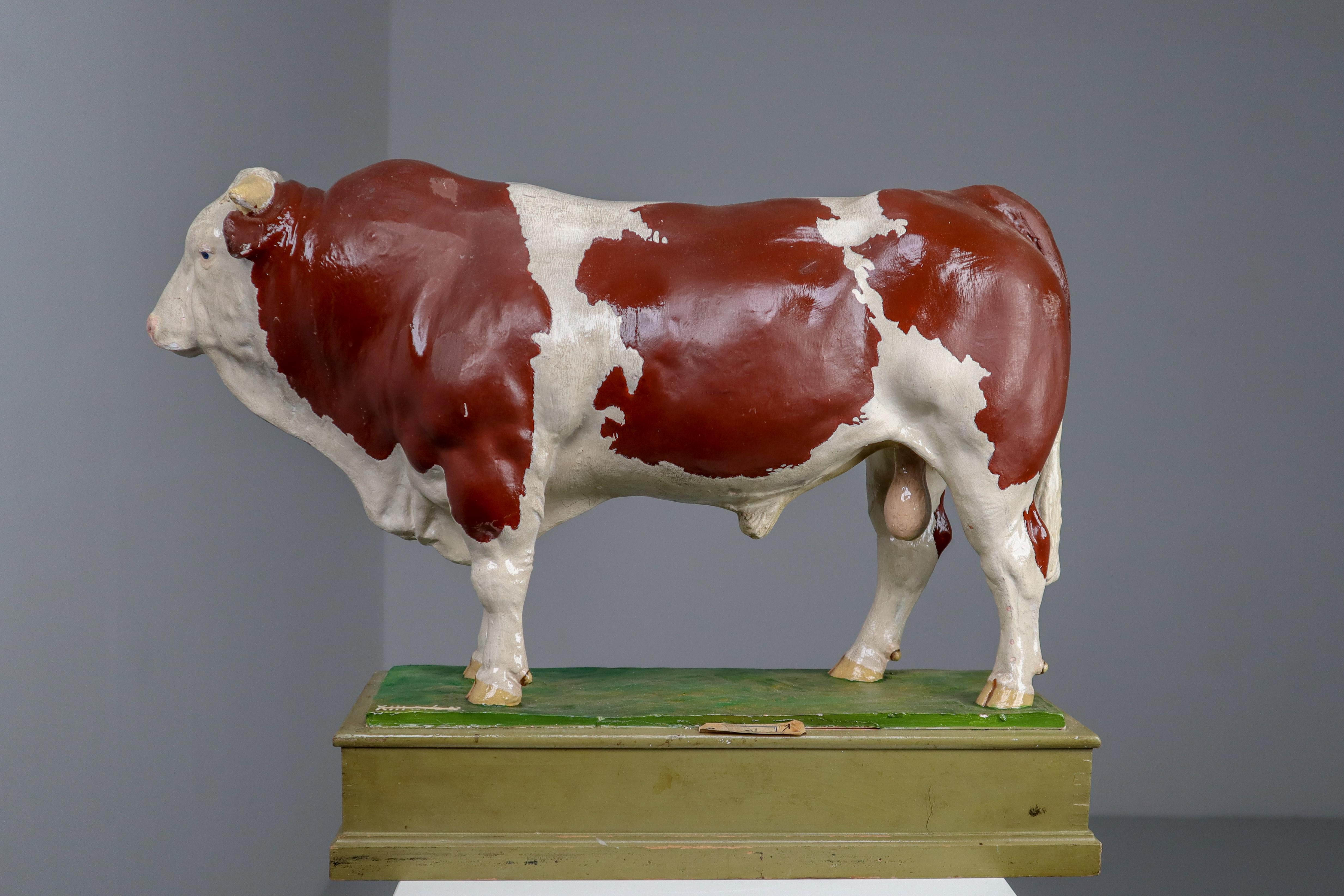 Early 20th Century Hand Painted Plaster Model of a Bull Made in Czech Republic 5