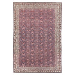 Early 20th Century Handmade East Turkestan Khotan Room Size Carpet