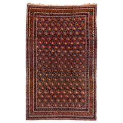 Début du 20e siècle Incroyable tapis persan Bidjar, tribal, vers 1900
