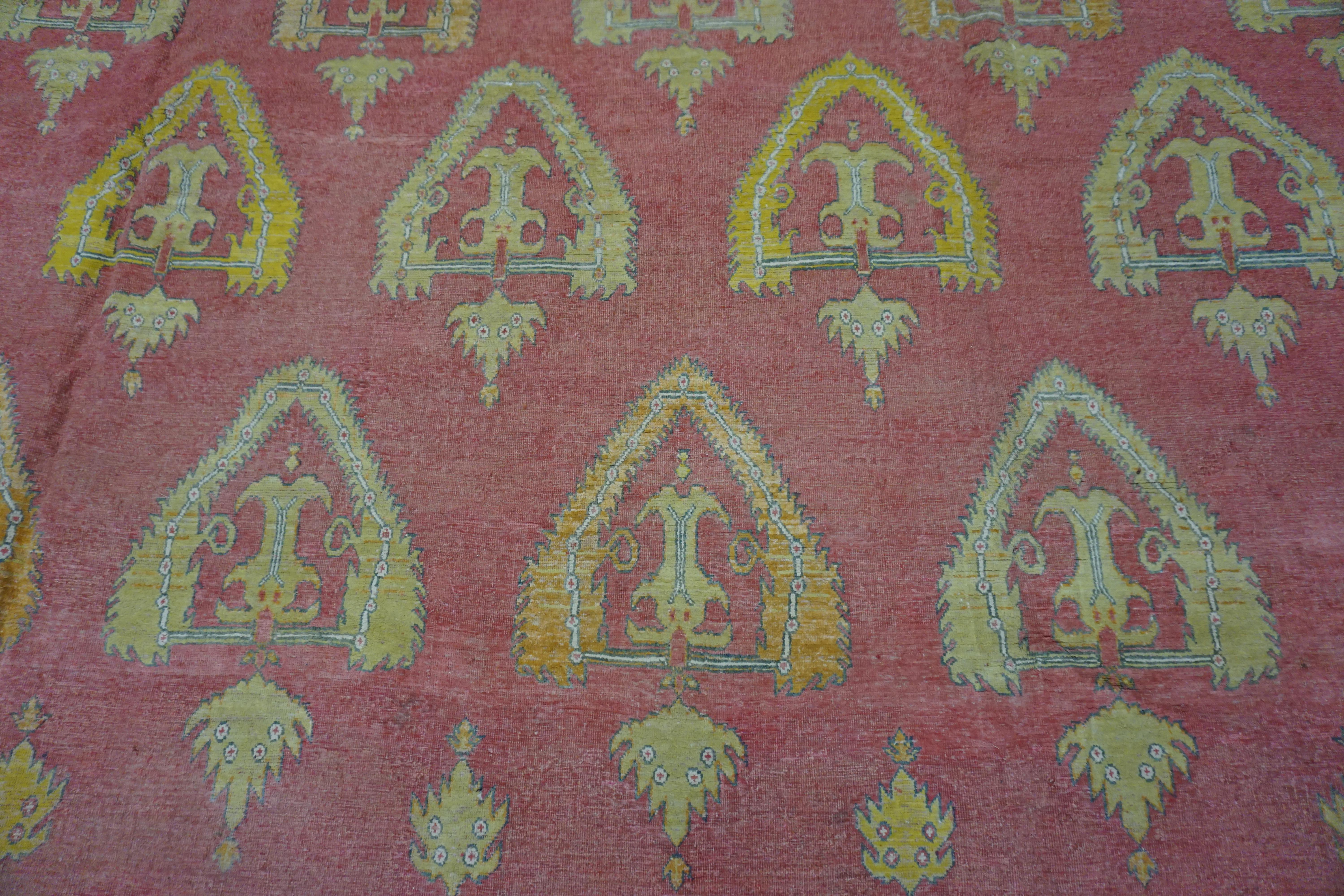Early 20th Century Indian Cotton Agra Carpet ( 11'10