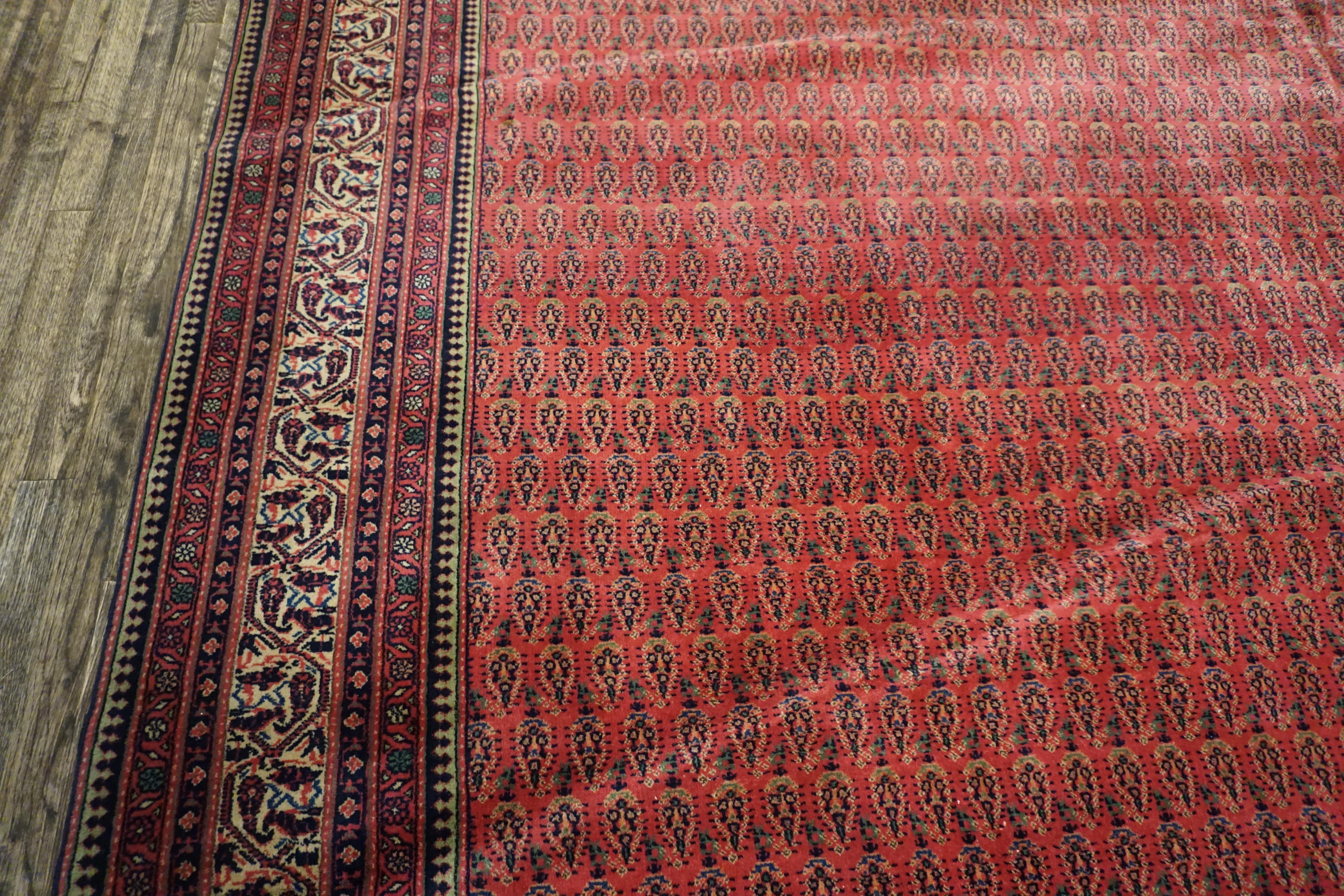 Early 20th Century Indian Lahore Paisley Carpet ( 12' x 20' 366 x 610 ) For Sale 3