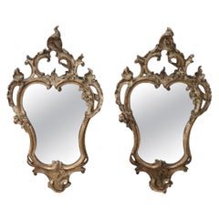 Early 20th Century Italian Louis XV Style Carved Gilded Wood Pair of Wall Mirror