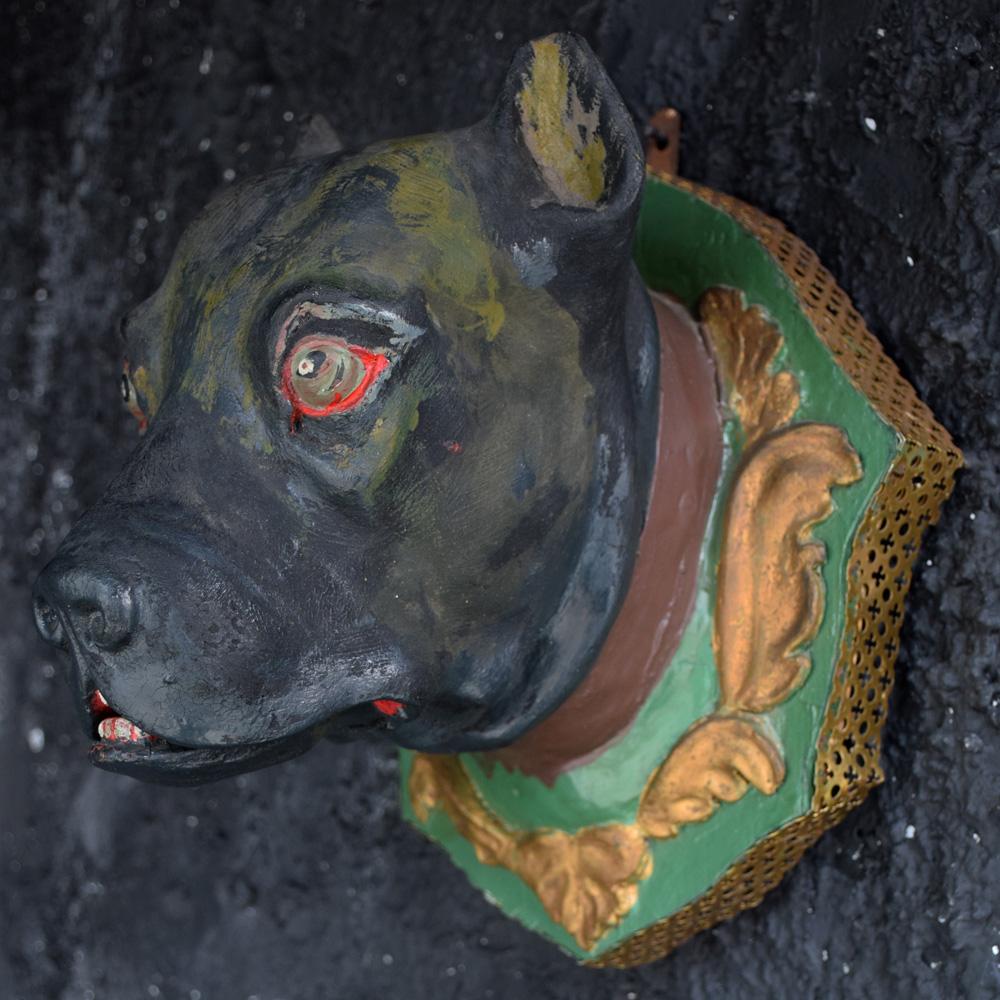 Early 20th Century Italian Plaster Dog Head Mounts 3