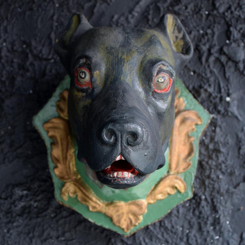 Early 20th Century Italian Plaster Dog Head Mounts 7