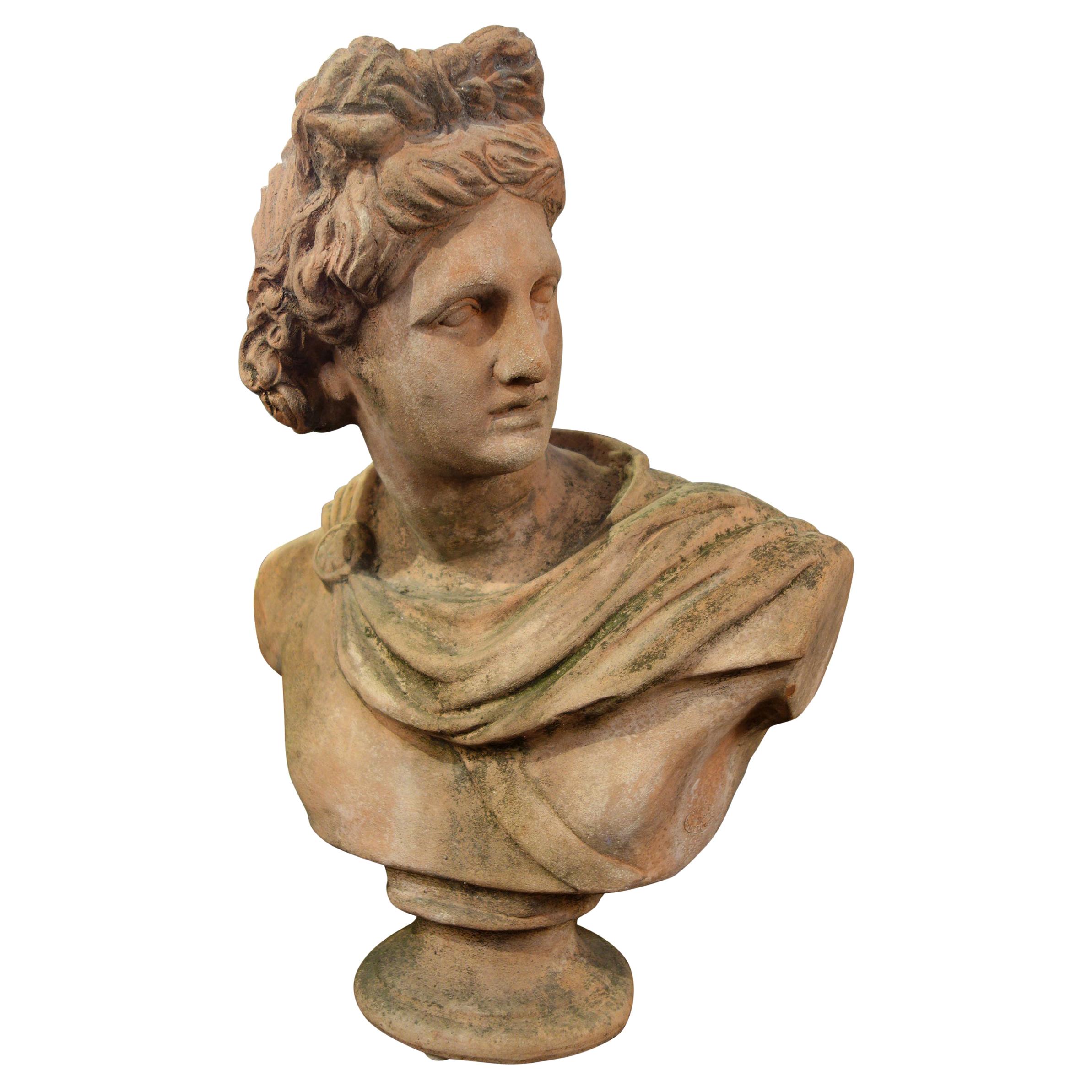 Early 20th Century Italian Renaissance Style Impruneta Terracotta Apollo Bust