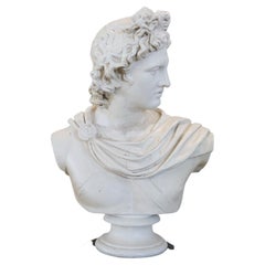 Antique Early 20th Century Italian Sculpture Bust of Apollo in Plaster
