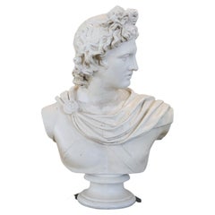Scultura italiana dei primi del Novecento Busto di Apollo in gesso