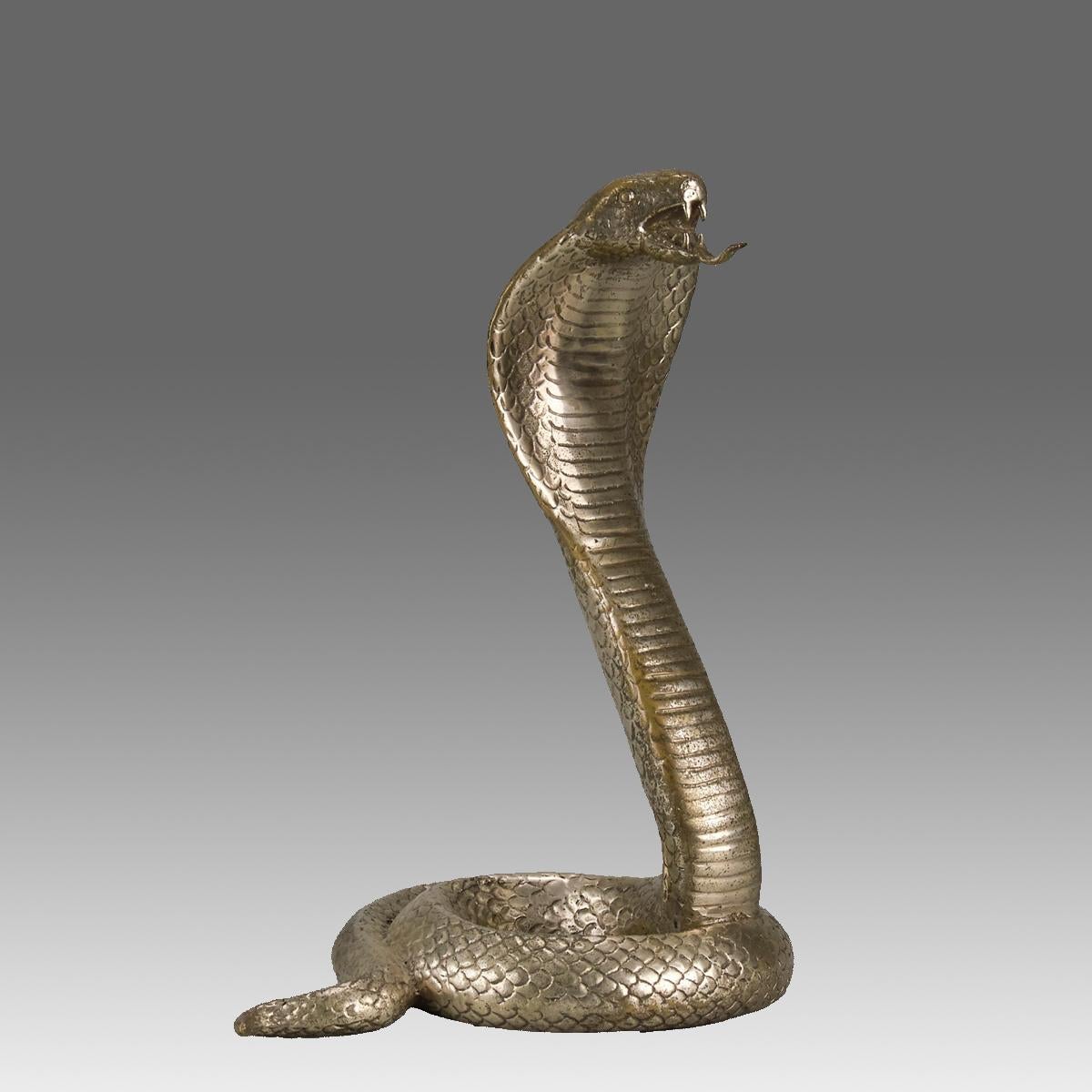 A very fine early 20th Century silvered bronze study of a rearing cobra with its body coiled and head raised, exhibting excellent hand finished surface detail, unsigned

ADDITIONAL INFORMATION
Height:                                      32 cm      