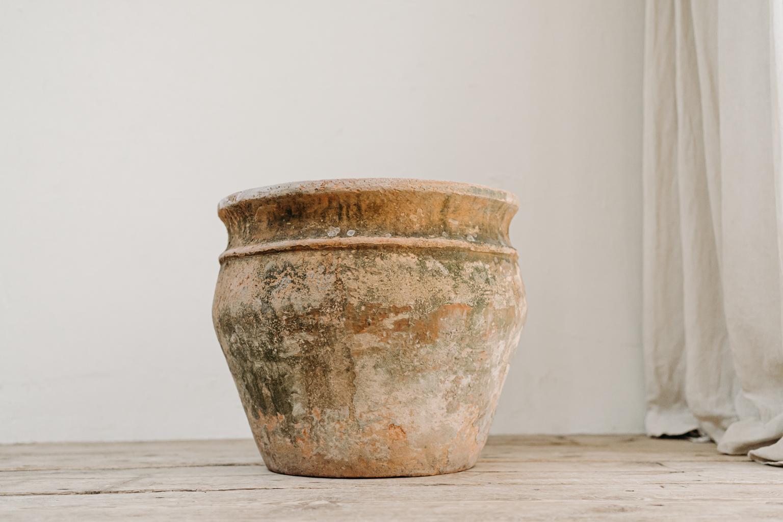 Great patina and in very good condition this Italian terra cotta planter, ready to use in your garden
or in your interior.
