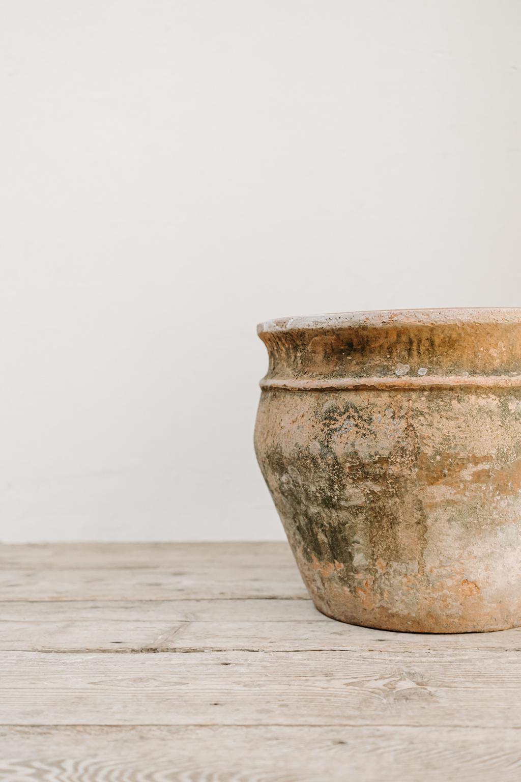 Early 20th Century Italian Terra Cotta Planter In Good Condition In Brecht, BE