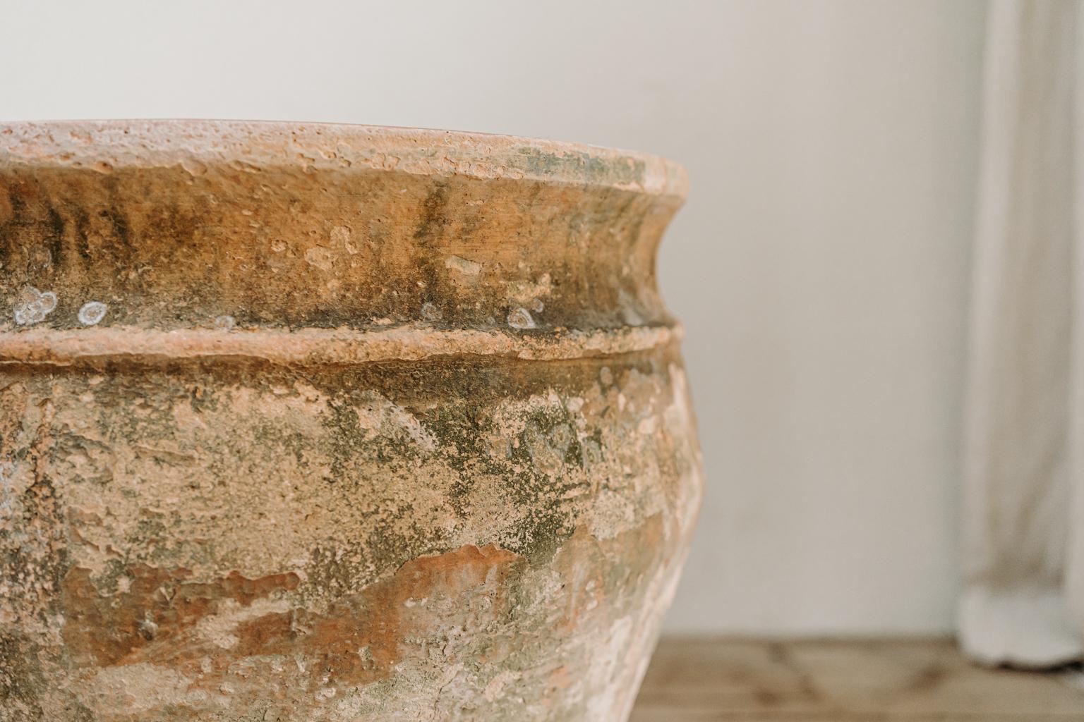 Early 20th Century Italian Terra Cotta Planter 3