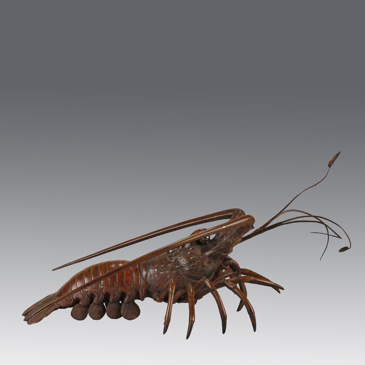 An eye catching Japanese Okimono bronze study of a lobster with very fine intricate hand finished surface detail and good rich brown colour, signed to underside of tail

Additional information
Length: 48 cm 

Width: 31 cm

Condition: