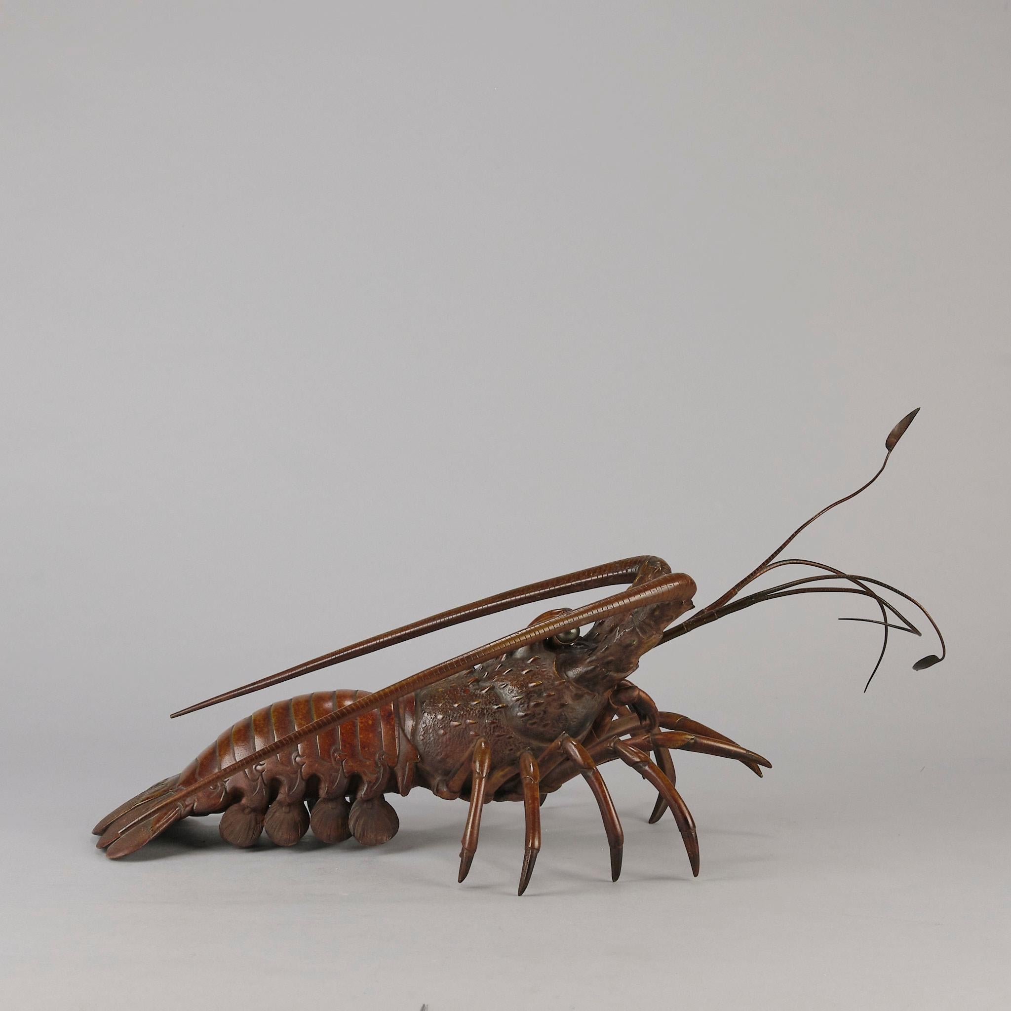 japanese bronze lobster