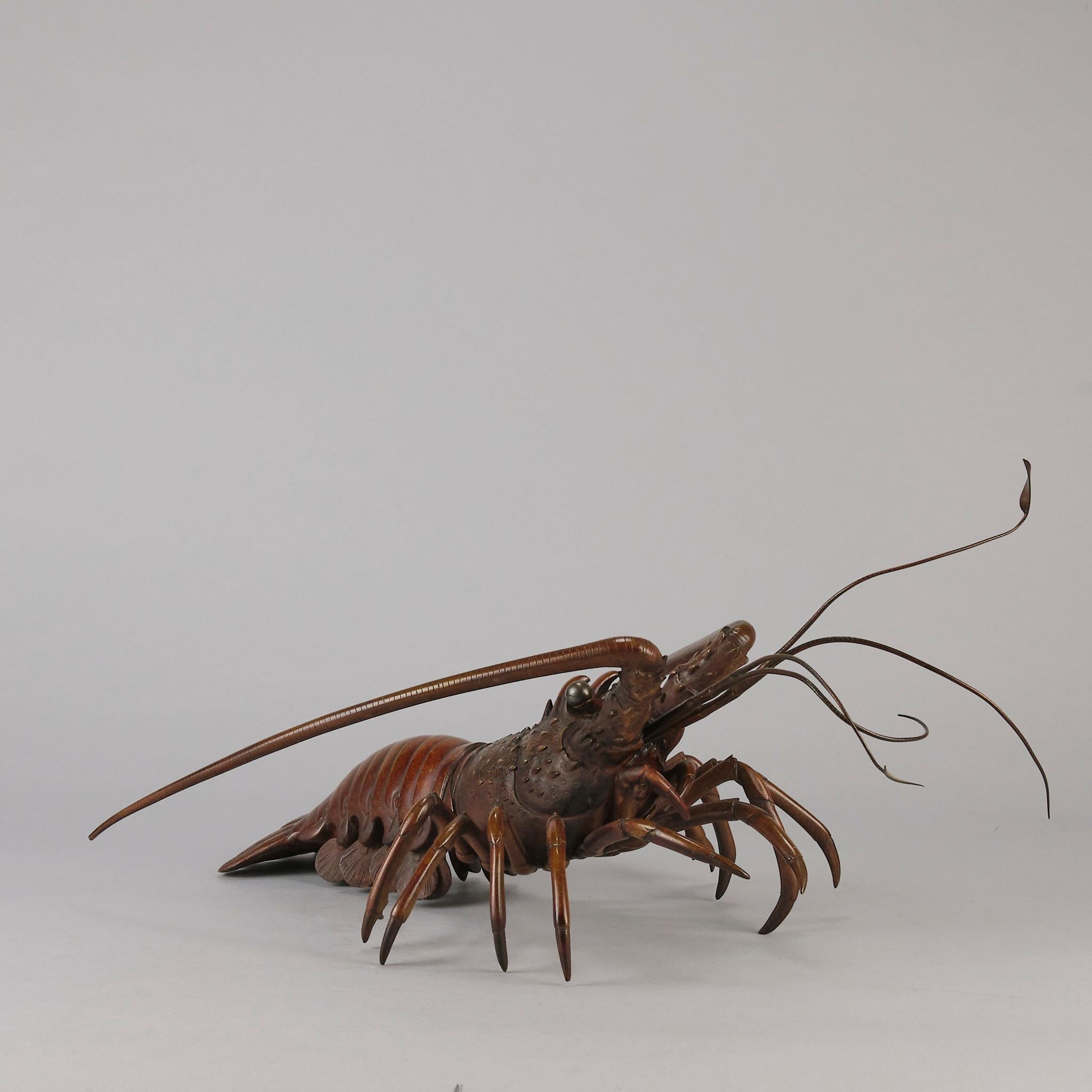 japanese bronze lobster