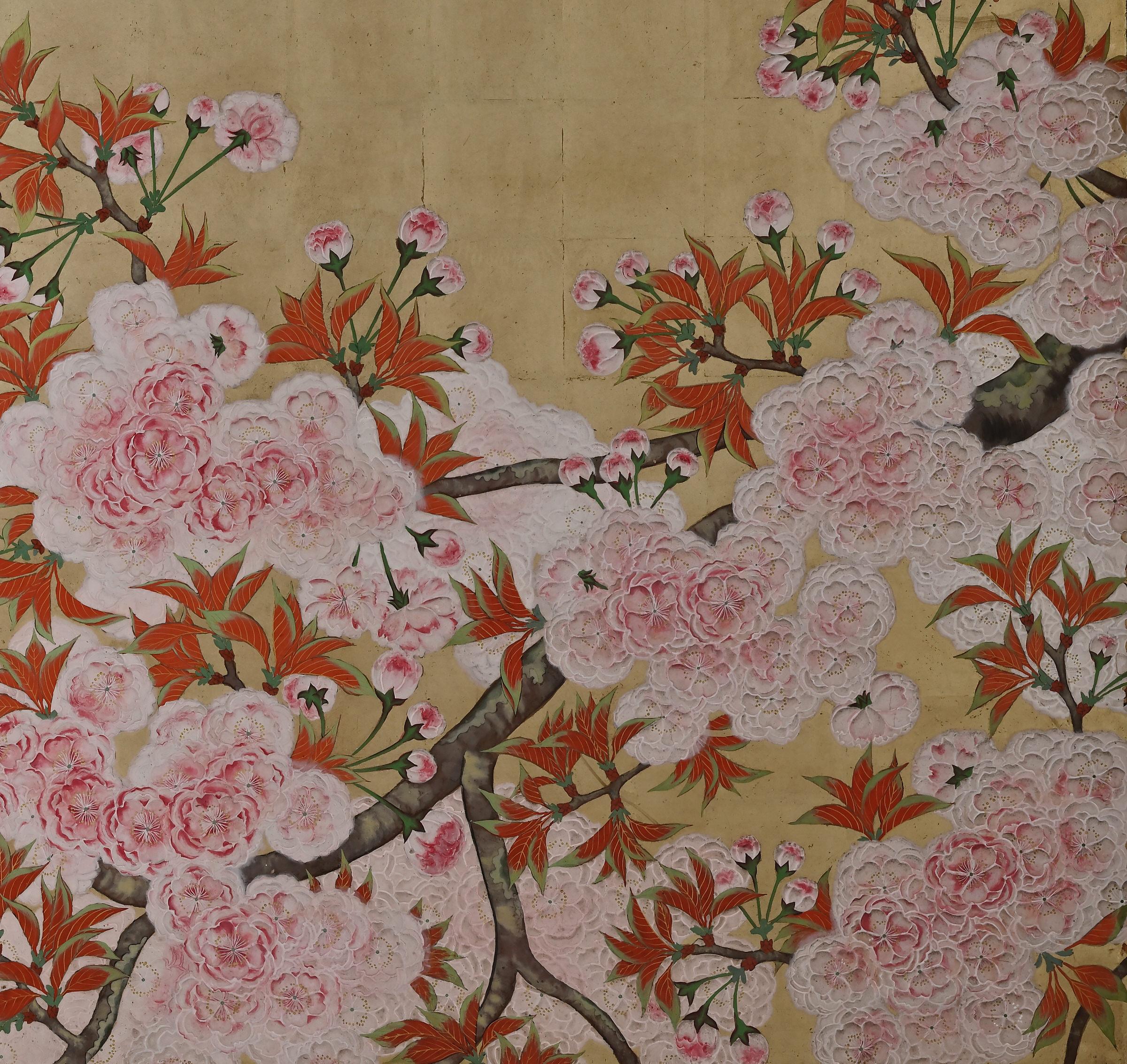 Fleurs de cerisier

Kano Sanrakuki (1898-1981)

Période Showa, vers 1930

Écran japonais à 2 panneaux

Couleur, gofun et feuille d'or sur papier

Sur un fond de feuilles d'or, le tronc et les branches couverts de lichen du cerisier en