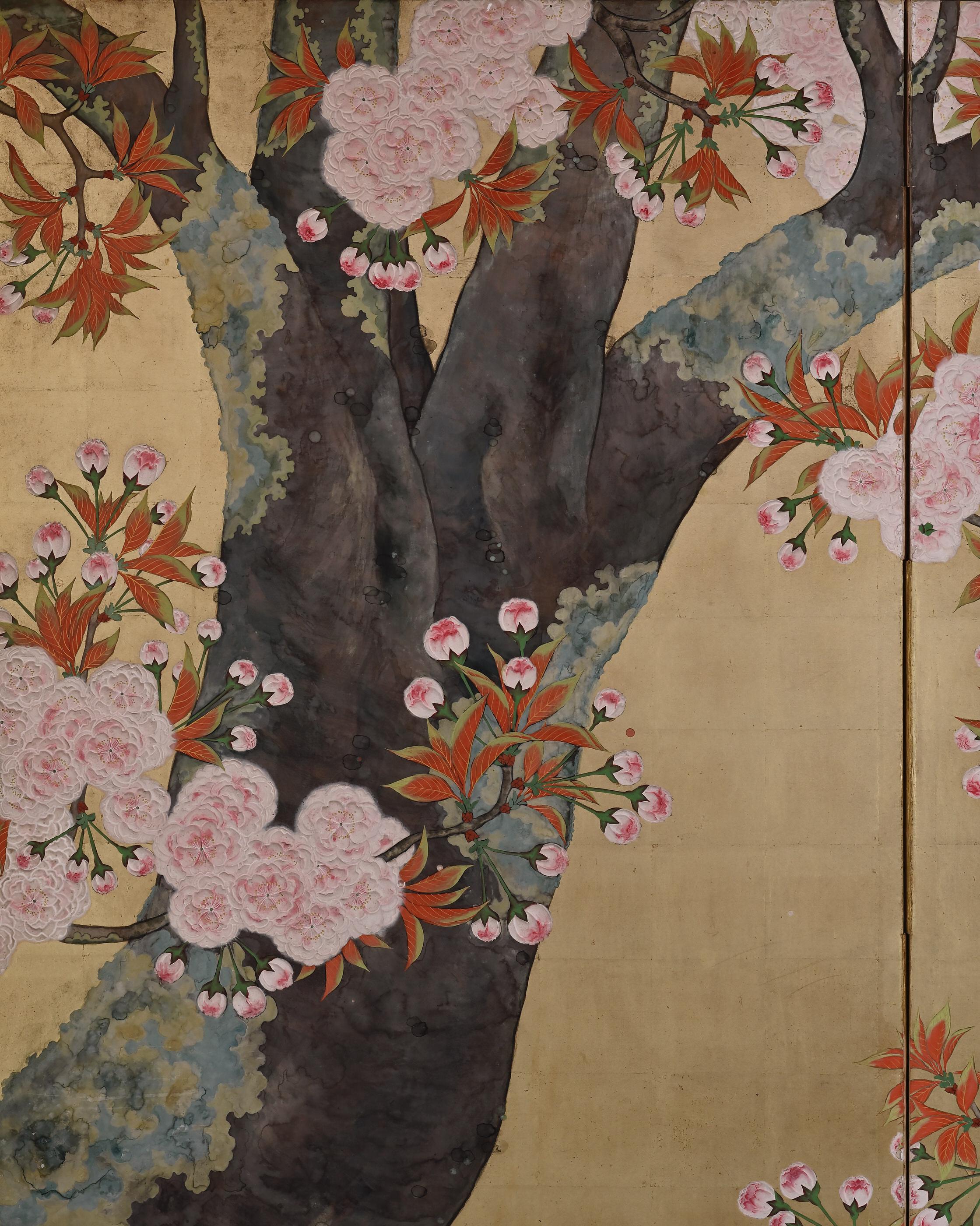 Showa Early 20th Century Japanese Cherry Blossom Screen by Kano Sanrakuki For Sale