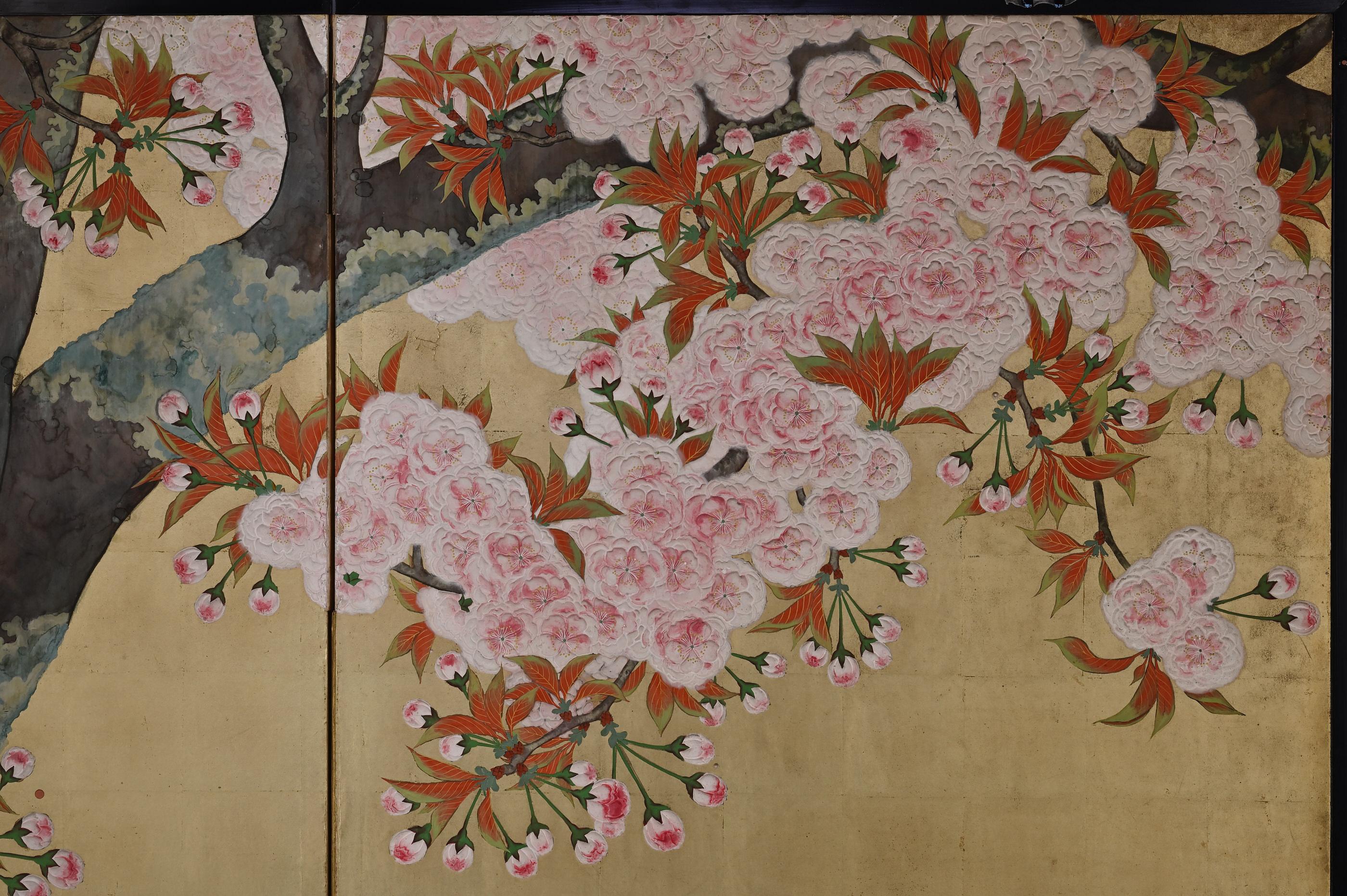 Peint à la main Paravent japonais en forme de fleur de cerisier du début du 20e siècle par Kano Sanrakuki en vente