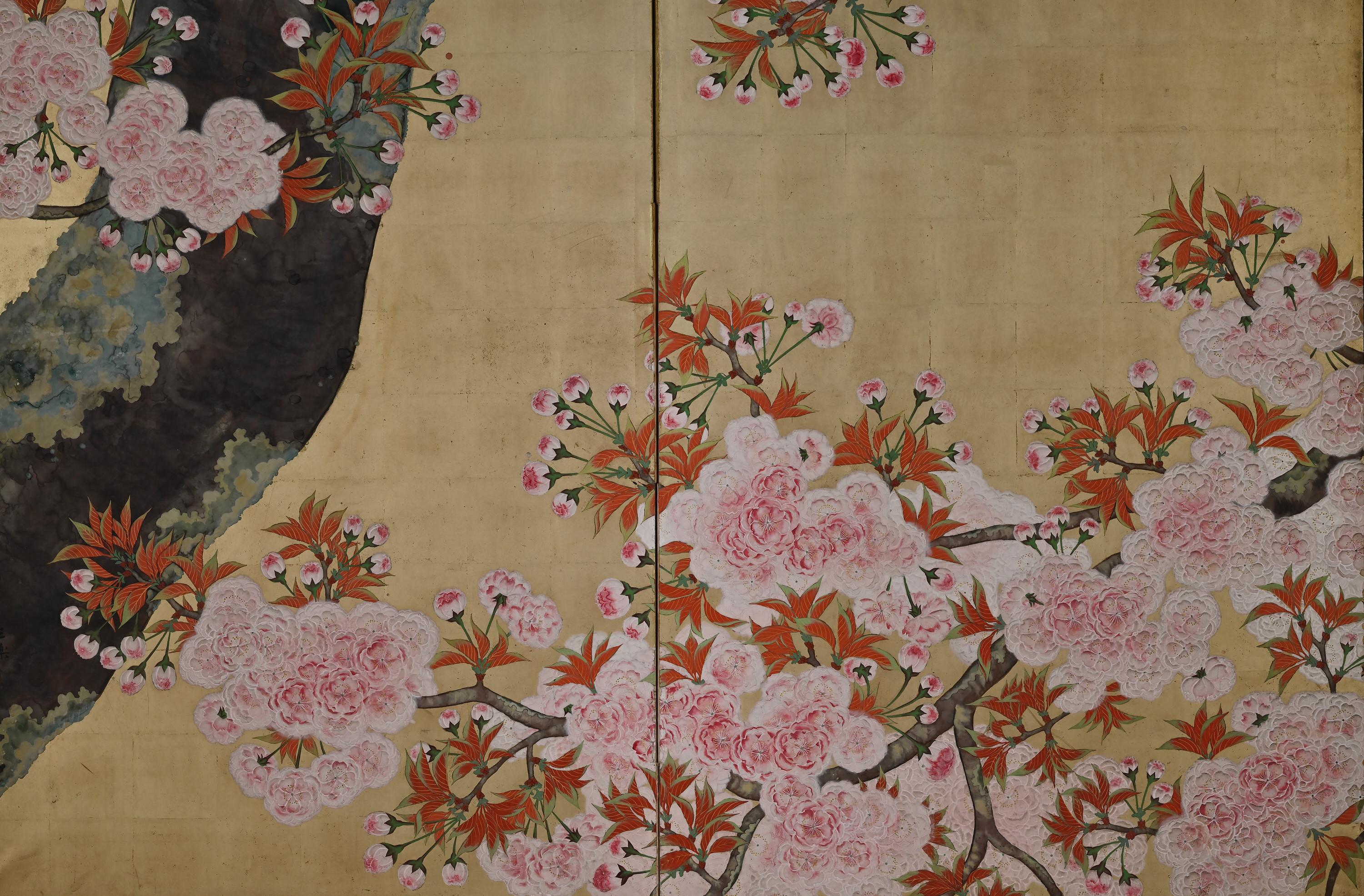 Early 20th Century Japanese Cherry Blossom Screen by Kano Sanrakuki In Good Condition For Sale In Kyoto, JP