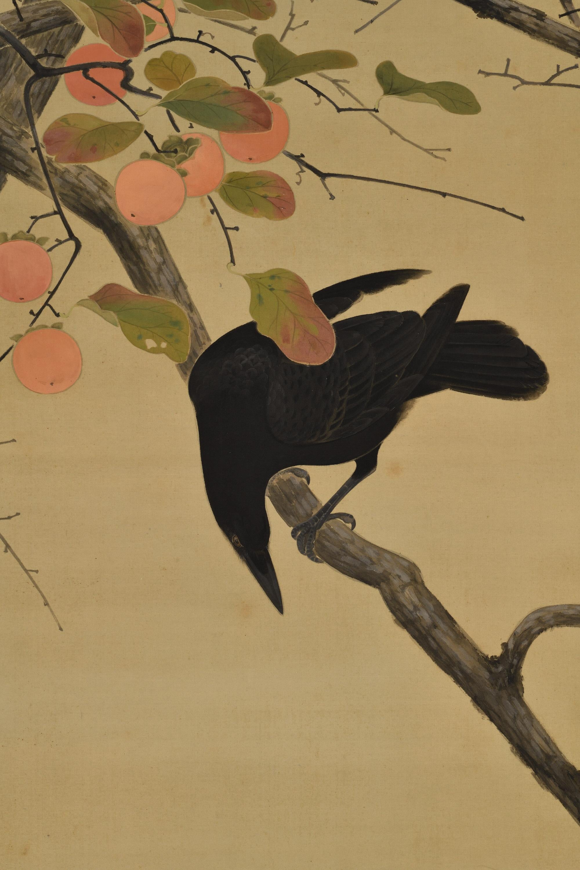 Taisho Scroll Nihonga japonais du début du 20e siècle. Crow & Persimmon en vente