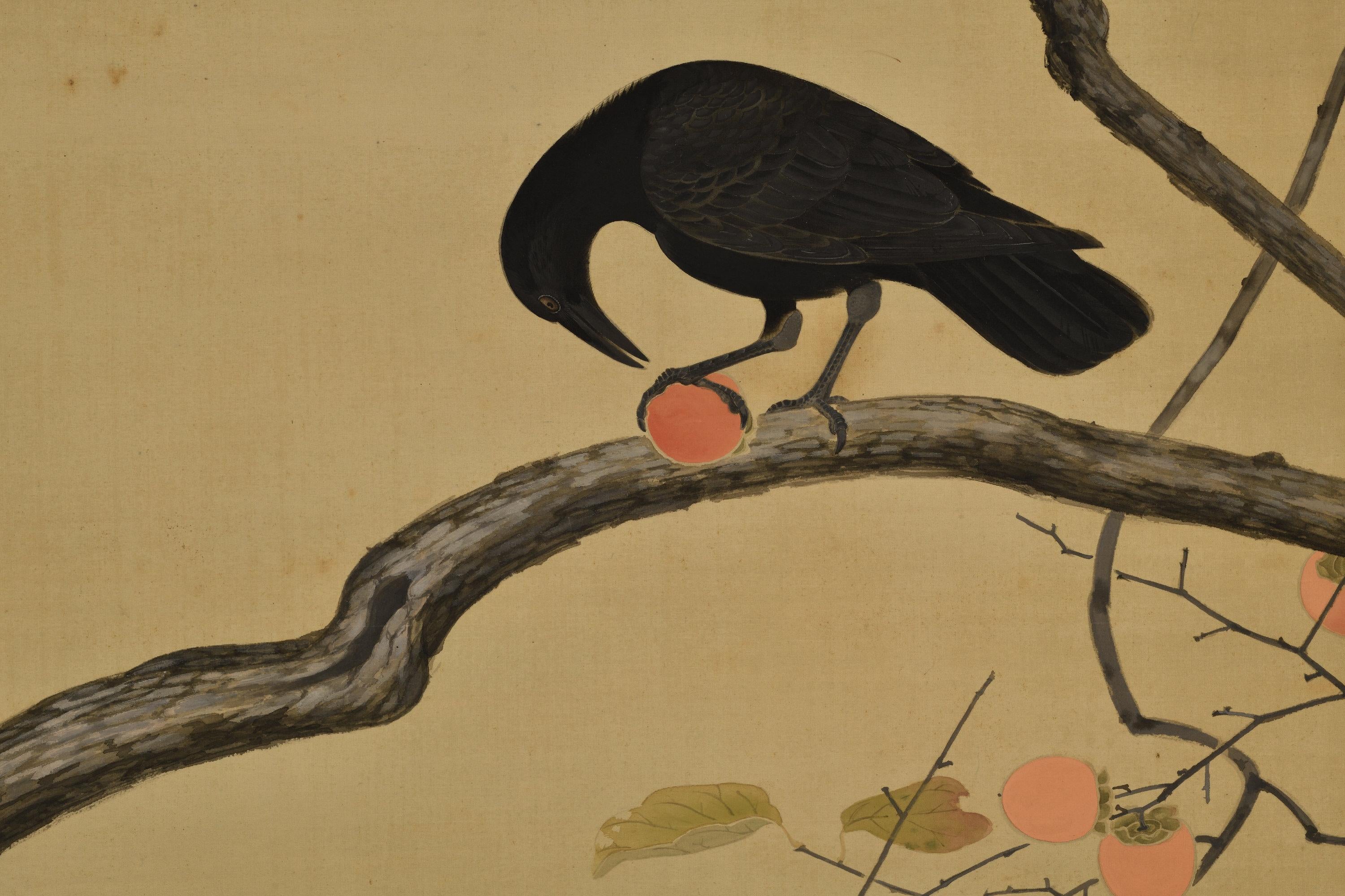 Peint à la main Scroll Nihonga japonais du début du 20e siècle. Crow & Persimmon en vente