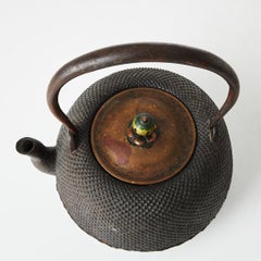 Early 20th Century Japanese Tetsubin Tea Pot, Cast Iron and Brass, Meiji Period