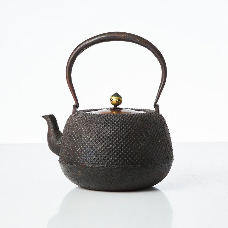 Early 20th Century Japanese Tetsubin Tea Pot, Cast Iron and Brass