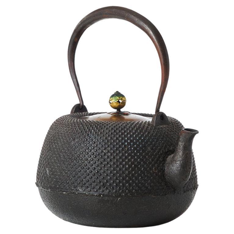Early 20th Century Japanese Tetsubin Tea Pot, Cast Iron and Brass, Meiji Period