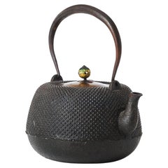 Antique Early 20th Century Japanese Tetsubin Tea Pot, Cast Iron and Brass, Meiji Period