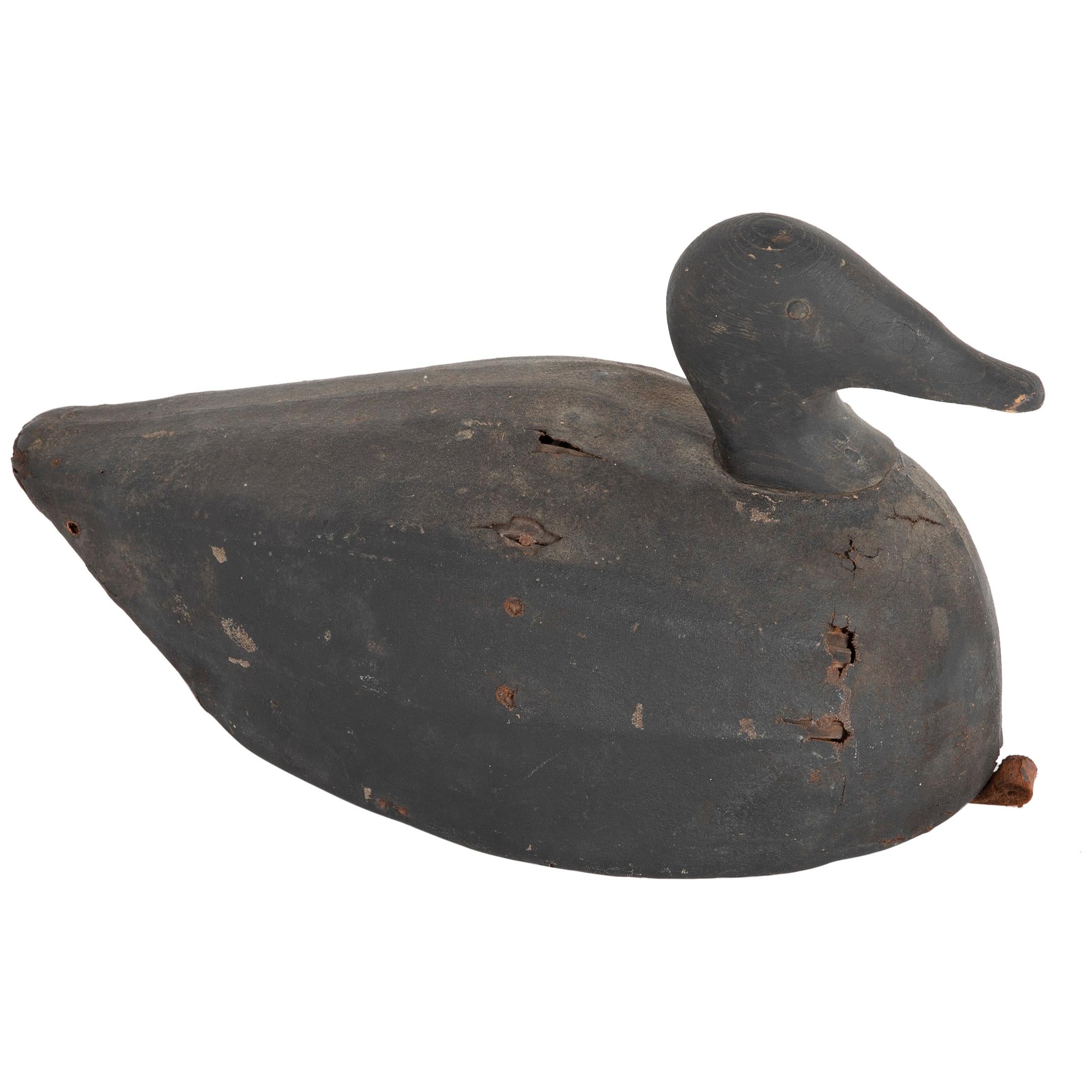 Early 20th Century Joe Lincoln Scoter Decoy For Sale