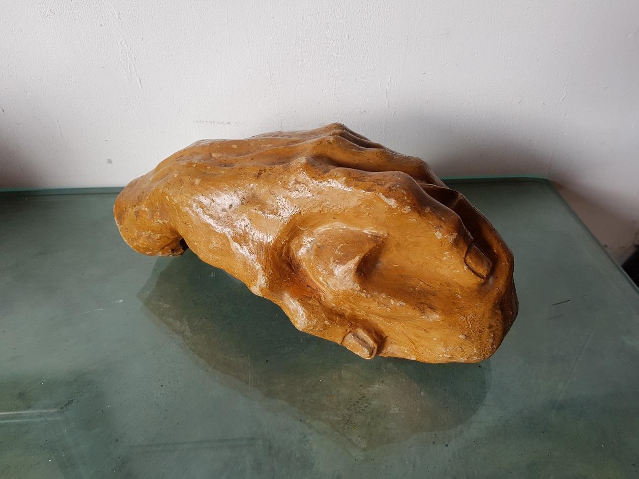 Very beautiful this old and large model earthenware sculpture of a left hand by an unknown artist and no signature found, probably first half of the 20th century.

The measurements are:
Depth 16.5 cm/ 6.4 inch.
Width 35 cm/ 13.7 inch.
Height