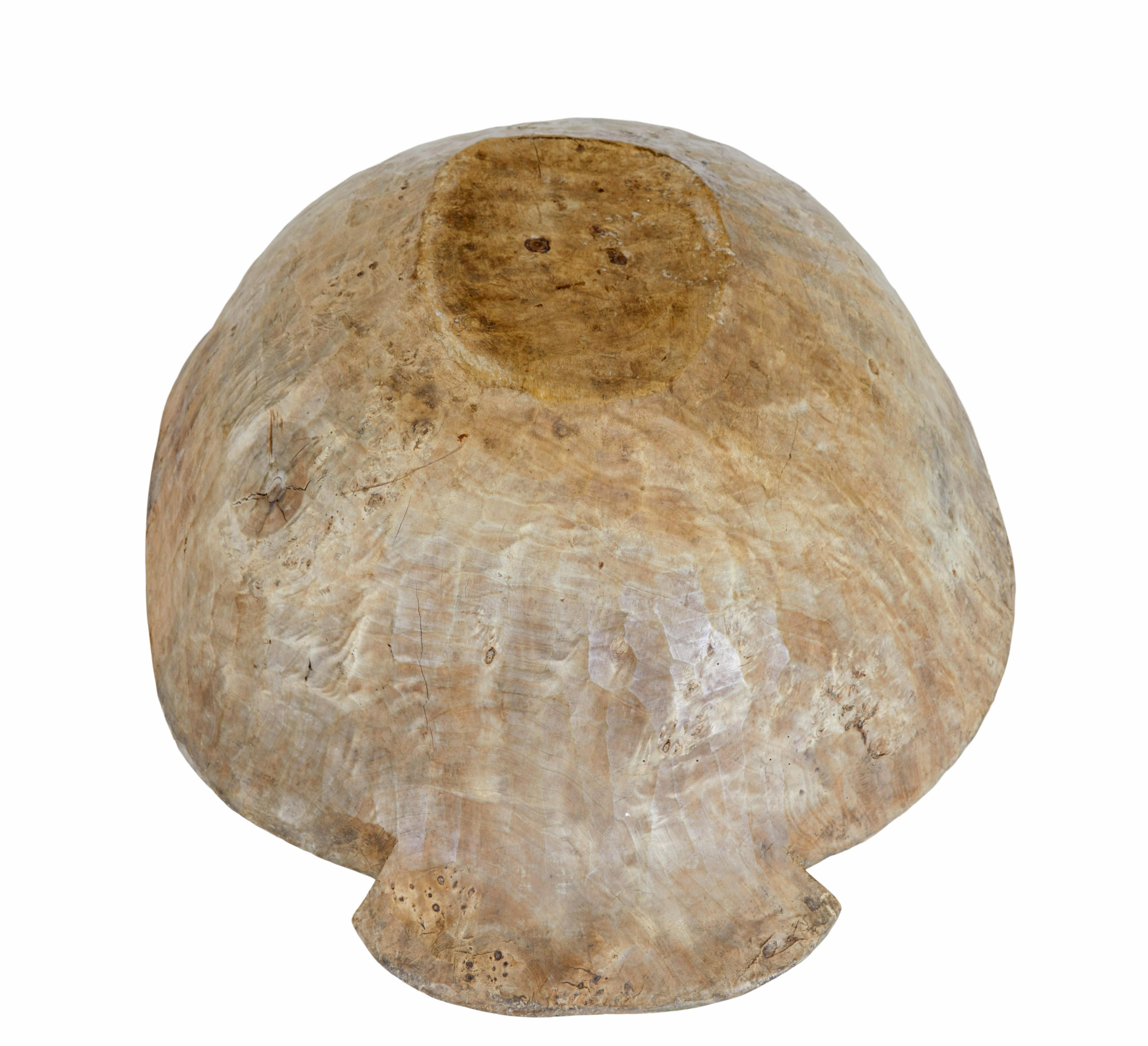 Hardwood Early 20th century large wooden bowl For Sale