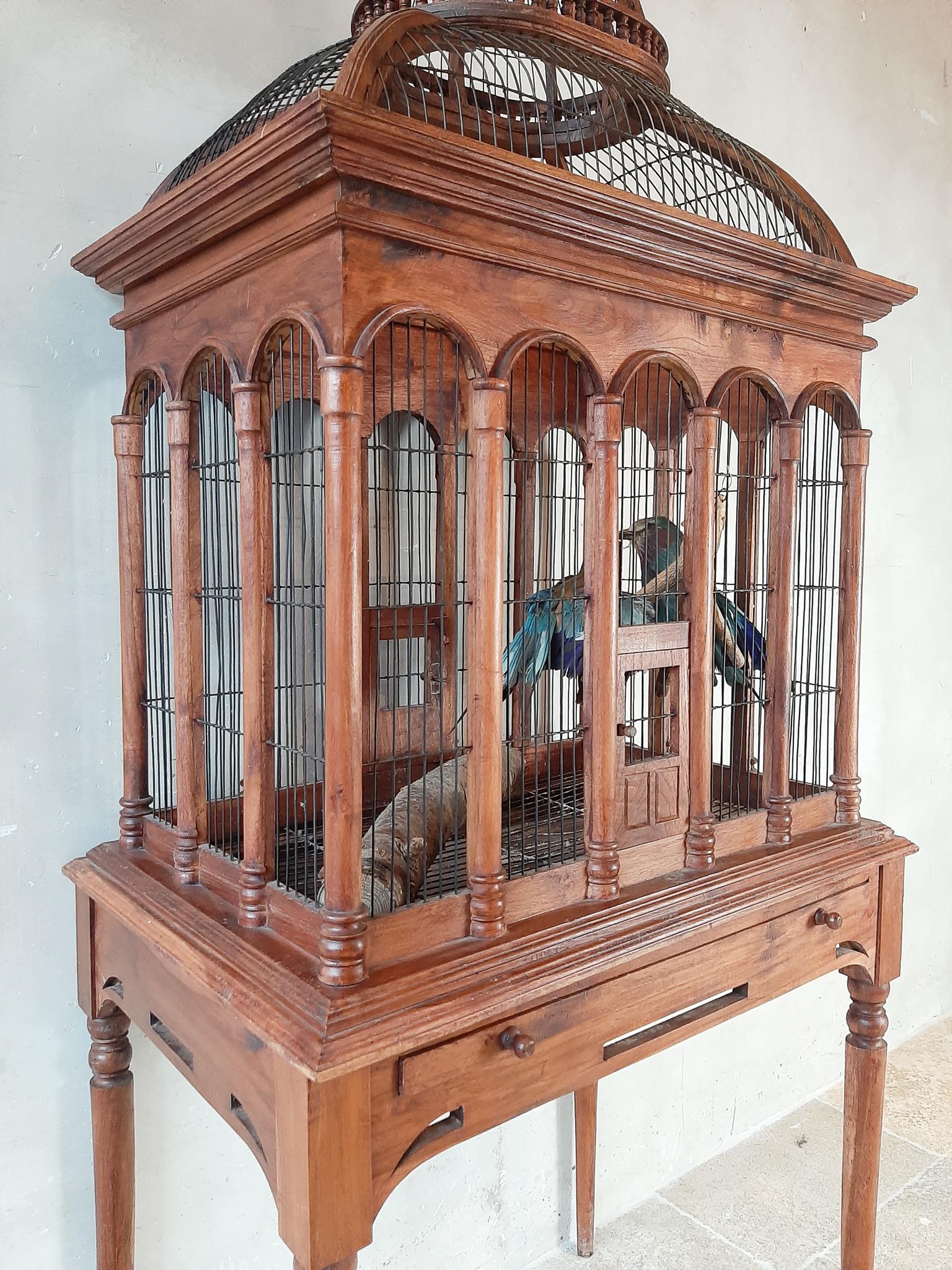 wooden bird cage decor