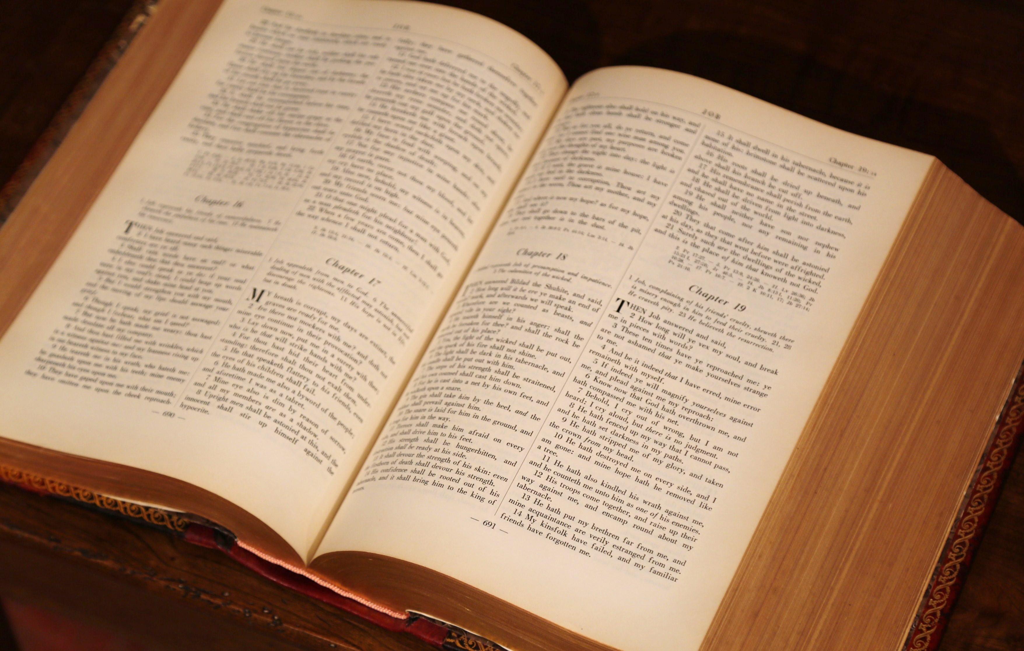 Early 20th Century Leather and Gilt Illustrated King James Version Family Bible 5