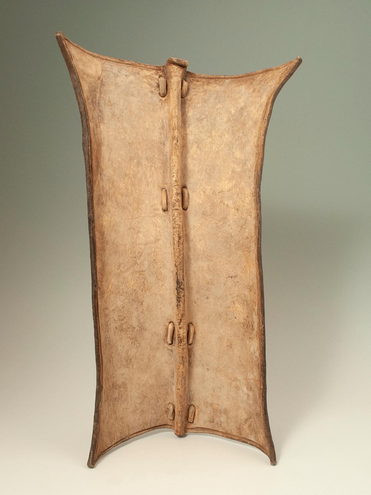 Tribal Early 20th Century Leather Shield, Taposa/Turkana, South Sudan For Sale