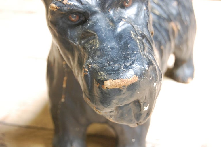 Early 20th Century LifeSized Papier Mâché Scotty Dog at 1stDibs