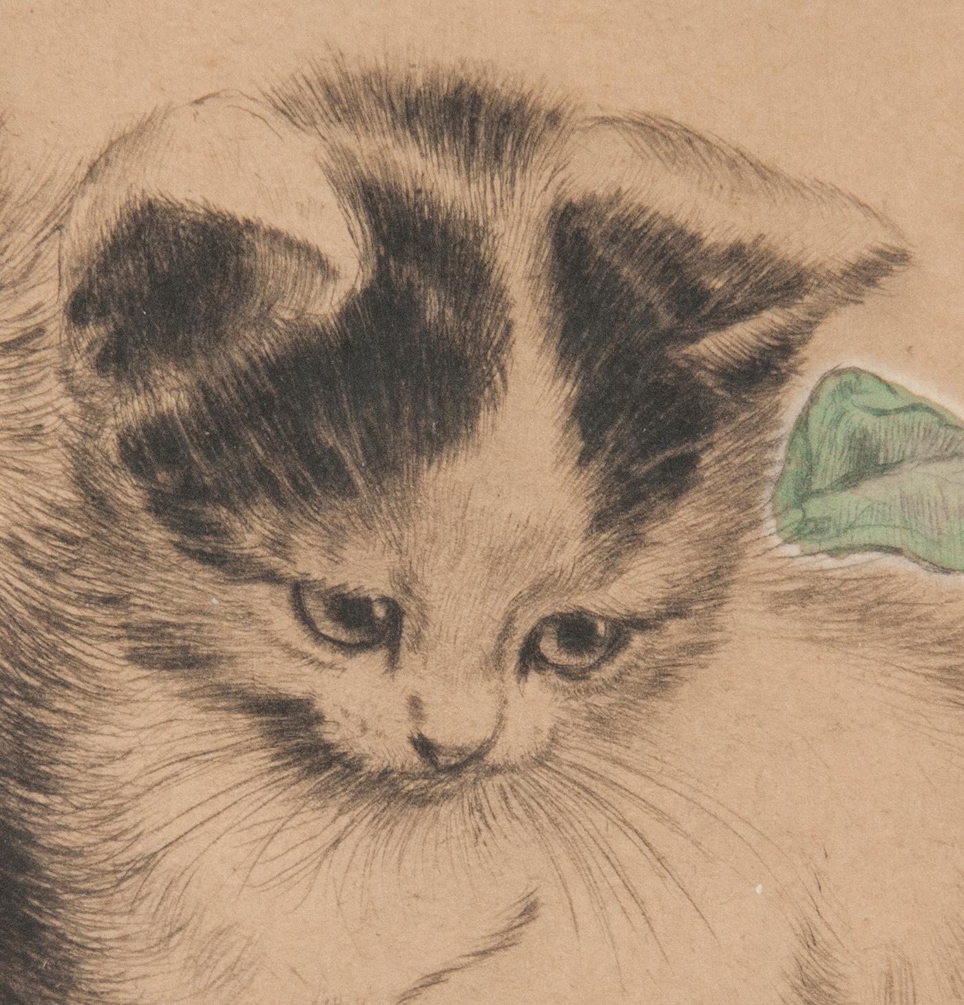 Early 20th Century Lithograph Young Cats by Meta PLÜCKEBAUM 3