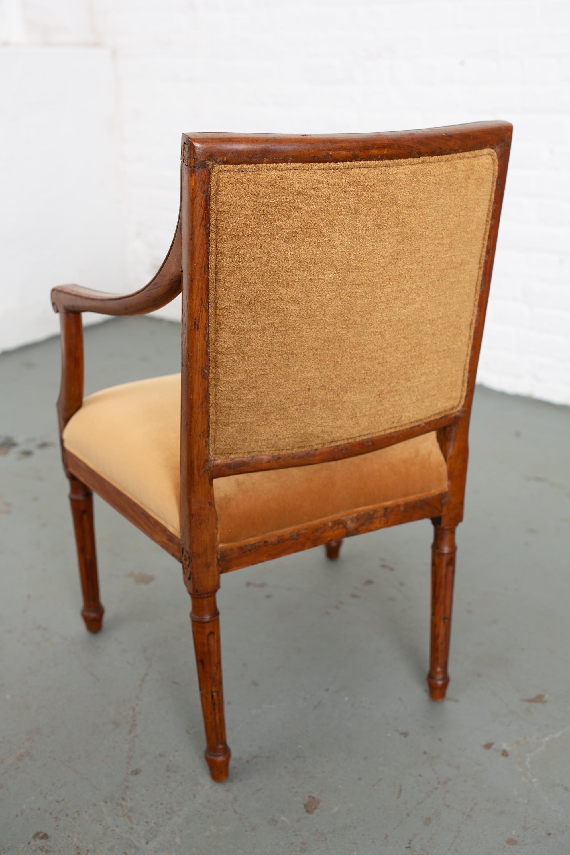 Early 20th Century Louis XVI Style Carved Fruitwood Open Armchair 7