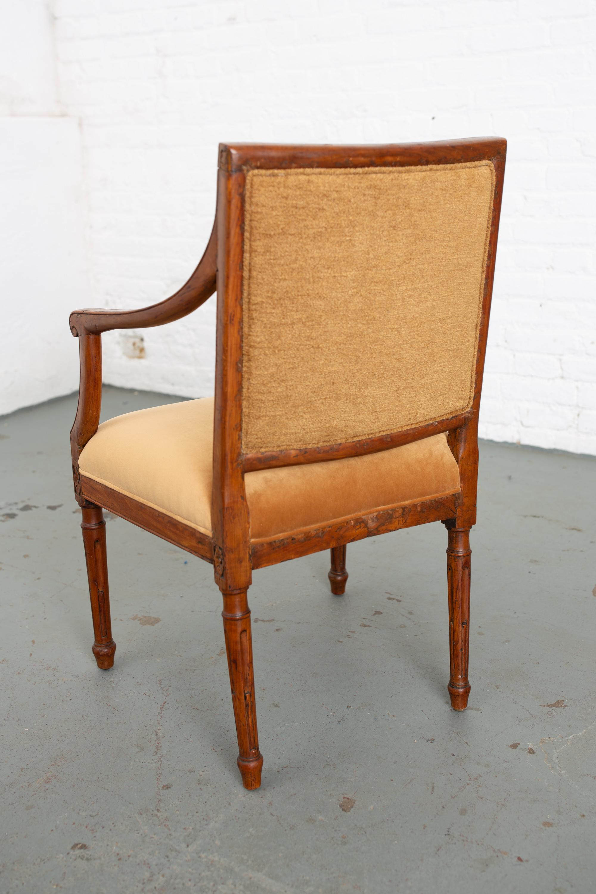 Early 20th Century Louis XVI Style Carved Fruitwood Open Armchair 8