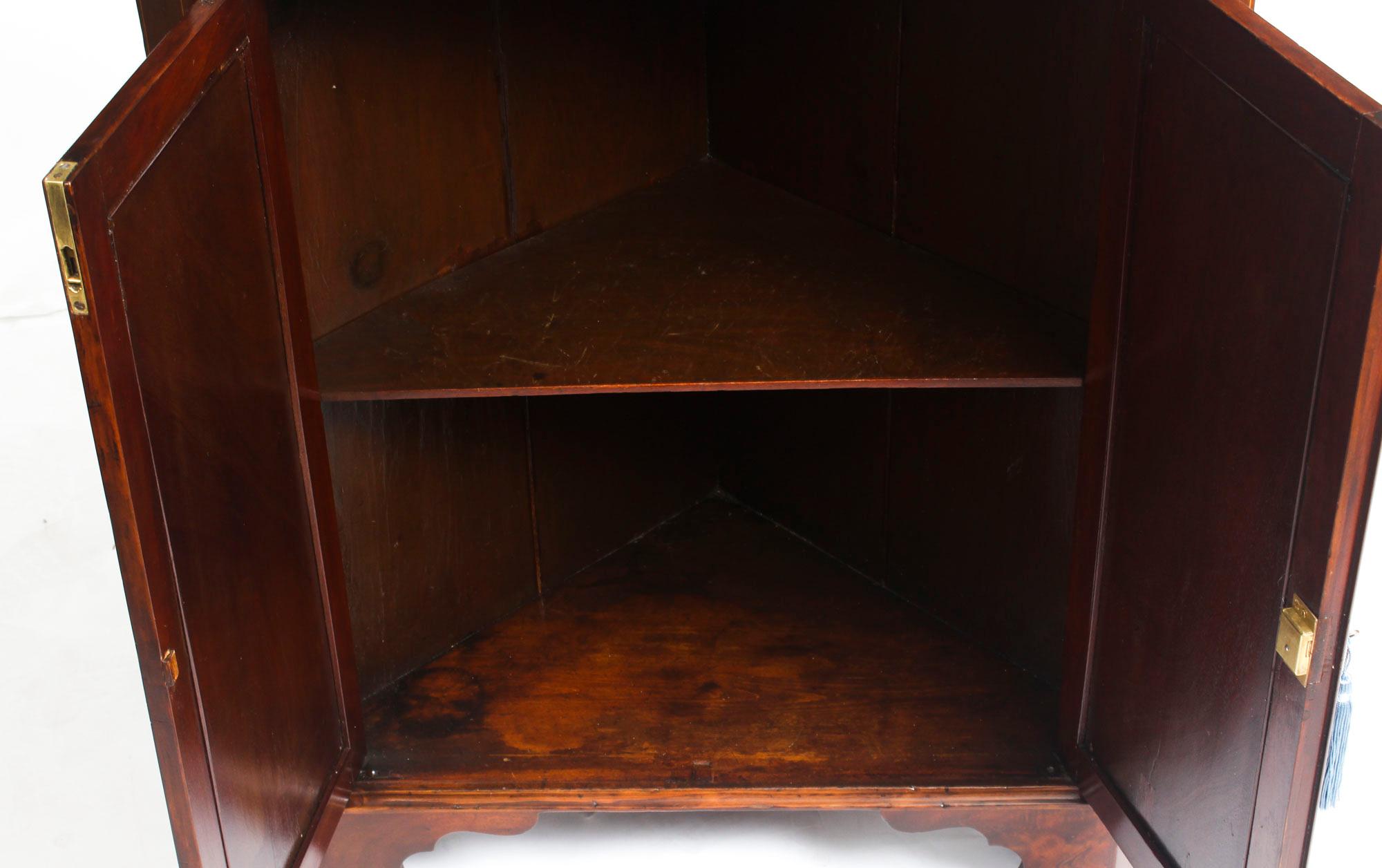 Early 20th Century Mahogany and Satinwood Inlaid Low Corner Cabinet 4