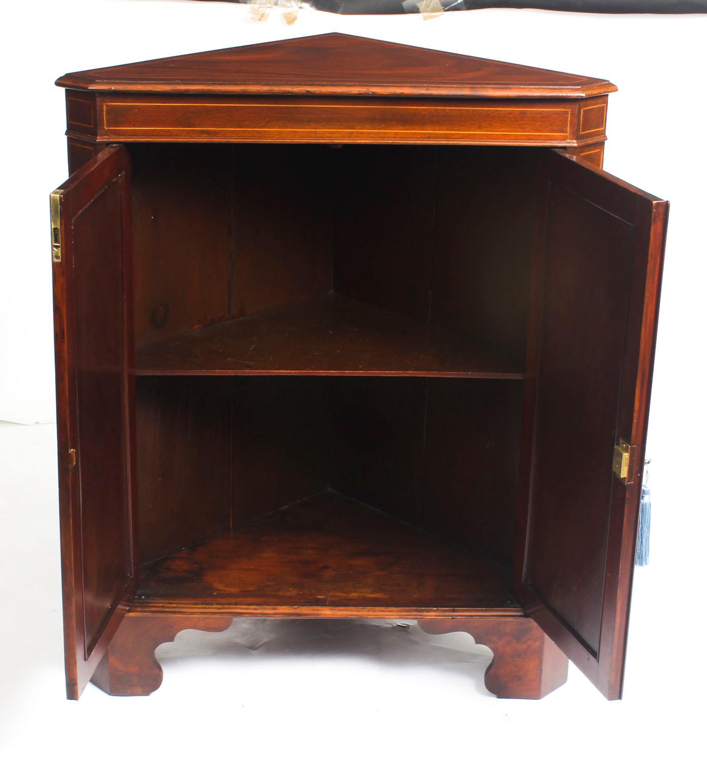 Early 20th Century Mahogany and Satinwood Inlaid Low Corner Cabinet 2