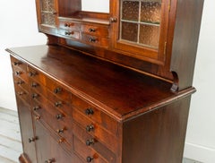 Early 20th Century Mahogany Decorative Dentist or Collectors Cabinet