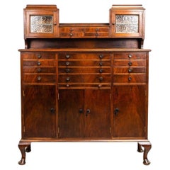 Early 20th Century Mahogany Decorative Dentist or Collectors Cabinet